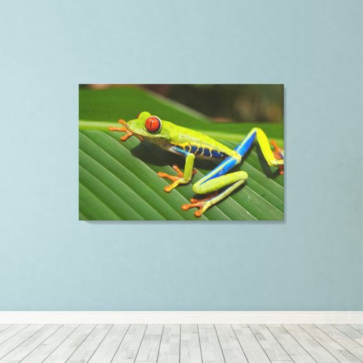 Toile Grenouille (Insitu (Plancher de Bois))