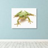 Toile Grenouille à arbre vert (Insitu (Plancher de Bois))