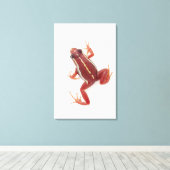 Toile Grenouille à tarte blanche (Insitu (Plancher de Bois))