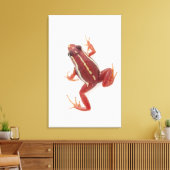 Toile Grenouille à tarte blanche (Insitu(Salon))