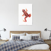 Toile Grenouille à tarte blanche (Insitu(Chambre))