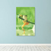 Toile Grenouille arboricole 6 (Insitu (Plancher de Bois))