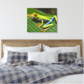 Toile Grenouille arboricole colorée (Insitu(Chambre))