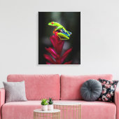 Toile Grenouille aux yeux rouges (Insitu(Salon))