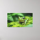 Toile grenouille dans la nouvelle forêt mossy sous-pouss (Recto)