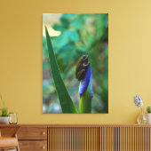 Toile Grenouille d'arbre vert sur Iris (Insitu(Salon))