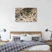 Toile Grenouille des arbres de Californie (Pseudacris ca (Insitu(Chambre))