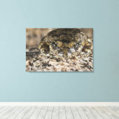 Toile Grenouille des arbres de Californie (Pseudacris ca (Insitu (Plancher de Bois))