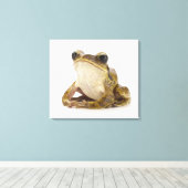 Toile Grenouille d'or (Insitu (Plancher de Bois))