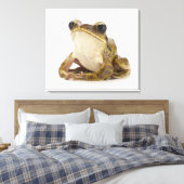 Toile Grenouille d'or (Insitu(Chambre))