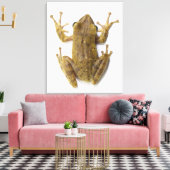 Toile Grenouille d'or (Insitu(Salon))