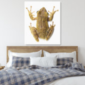 Toile Grenouille d'or (Insitu(Chambre))