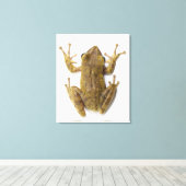 Toile Grenouille d'or (Insitu (Plancher de Bois))