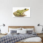 Toile Grenouille européenne commune ou grenouille comest (Insitu(Chambre))