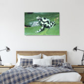 Toile Grenouille flèche empoisonnée, (Dendrobates auratu (Insitu(Chambre))