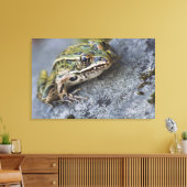 Toile Grenouille léopard du nord, Île transparente, (Insitu(Salon))