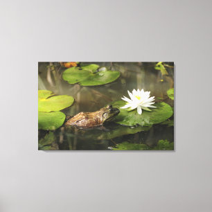 Toile Grenouille mugissante dans l'étang de lis