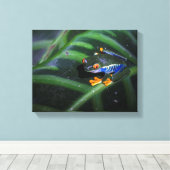 Toile Grenouille rouge aux yeux sur la feuille (Insitu (Plancher de Bois))