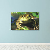 Toile Grenouille taureau. (Insitu (Plancher de Bois))