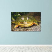 Toile Grenouille-taureau africaine, Pyxicephalus 2 (Insitu (Plancher de Bois))