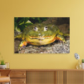 Toile Grenouille-taureau africaine, Pyxicephalus 2 (Insitu(Salon))