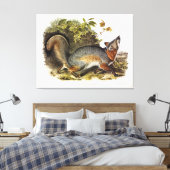 Toile Grey Fox / Grey Fox Audubon's American Quadrupeds (Insitu(Chambre))