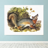 Toile Grey Fox / Grey Fox Audubon's American Quadrupeds (Insitu (Plancher de Bois))