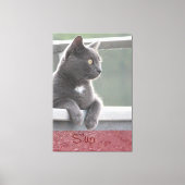 Toile Grey Kitty (Recto)