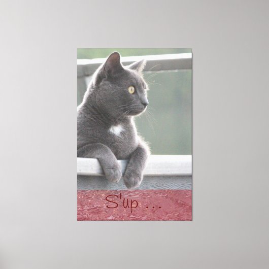 Toile Grey Kitty (Recto)