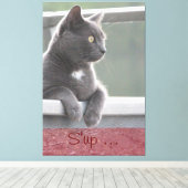 Toile Grey Kitty (Insitu (Plancher de Bois))