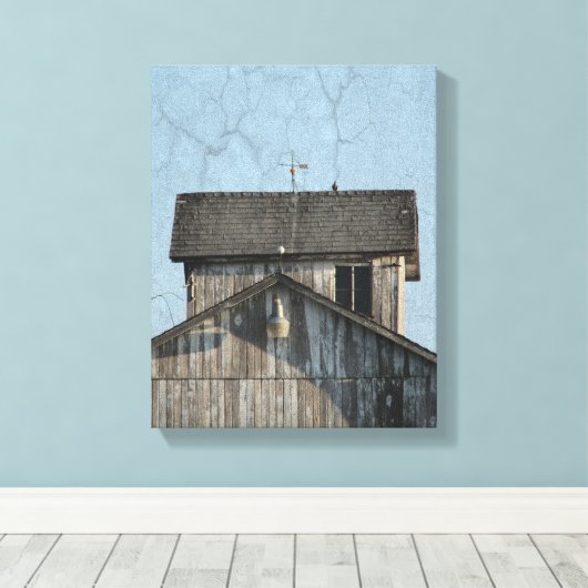 Toile Grille de maïs (Insitu (Plancher de Bois))