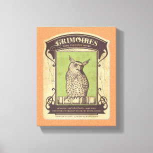 Toile Grimoires Owl