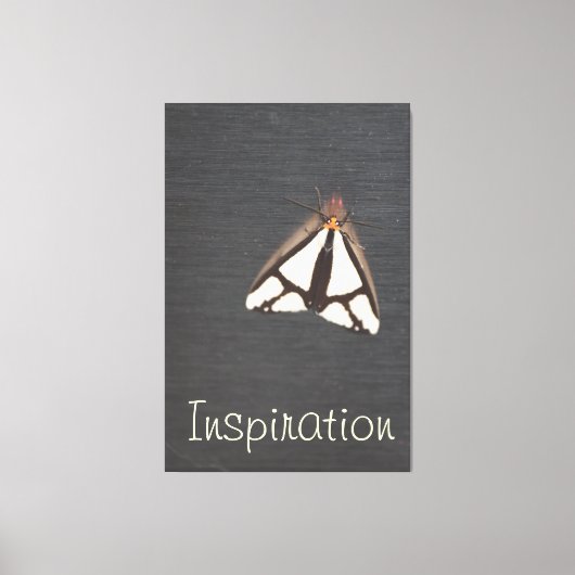 Toile Gris Gras (Recto)