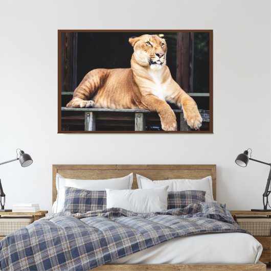 Toile Gros chat (Insitu(Chambre))