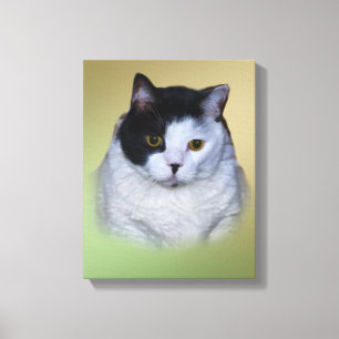 Toile Gros chat noir et blanc