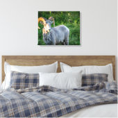 Toile Gros mouton à cornes (Insitu(Chambre))