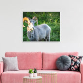 Toile Gros mouton à cornes (Insitu(Salon))