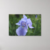 Toile Gros Plan De Fleur Iris Violet (Recto)