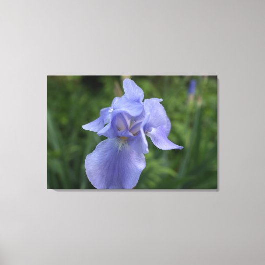Toile Gros Plan De Fleur Iris Violet (Recto)