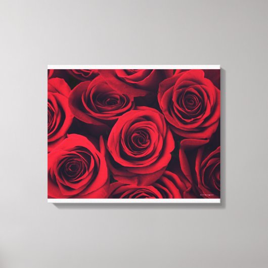 Toile Gros plan de fleurs de rose rouge. (Recto)