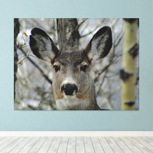 Toile Gros plan de Winter Mule Deer (Insitu (Plancher de Bois))
