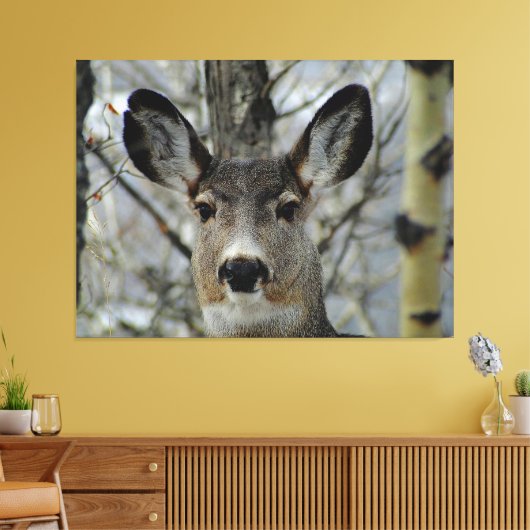 Toile Gros plan de Winter Mule Deer (Insitu(Salon))