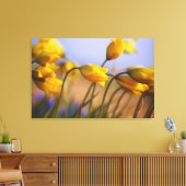 Toile Gros plan des jonquilles (Insitu(Salon))