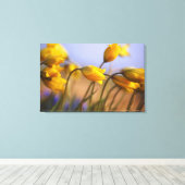 Toile Gros plan des jonquilles (Insitu (Plancher de Bois))