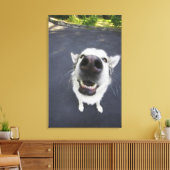 Toile Gros plan du nez de husky (Insitu(Salon))