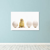 Toile Gros plan d'un bébé poussin avec trois oeufs (Insitu (Plancher de Bois))