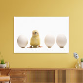 Toile Gros plan d'un bébé poussin avec trois oeufs (Insitu(Salon))