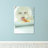 Toile Gros plan d'un caniche miniature mangeant de la no (Insitu (Plancher de Bois))