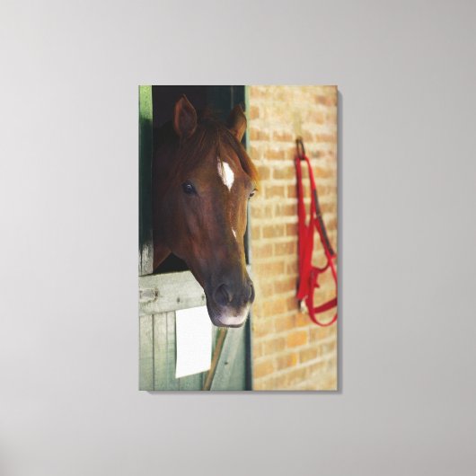 Toile Gros plan d'un cheval 2 (Recto)