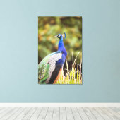 Toile Gros plan d'un paon (Insitu (Plancher de Bois))